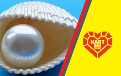 The Journey of Natural Pearls