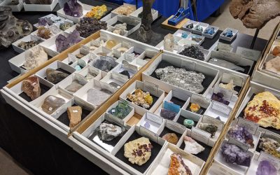 Anticipation Soars for the 2025 Denver Gem Show