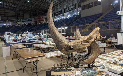 The Denver Gem Show The Denver Gem Show