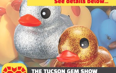 SEEK: Rubber Ducky Hunt 2026