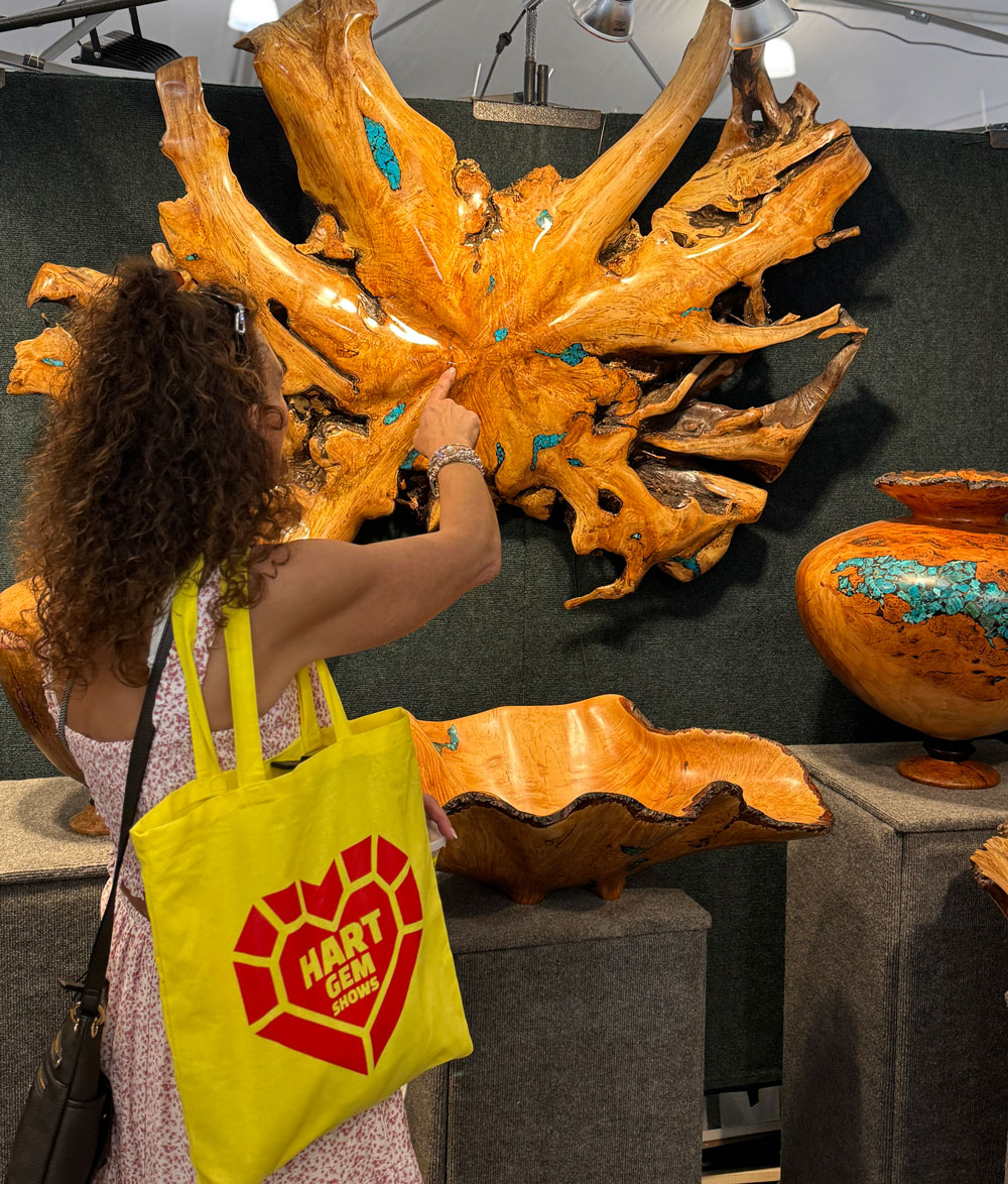 tucson gem show tips