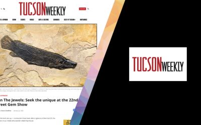 Run The Jewels: Seek the unique at the 22nd Street Gem Show in Tucson Weekly